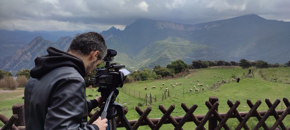 Un cámara del equipo filma un prado con ovejas y las montañas al fondo.